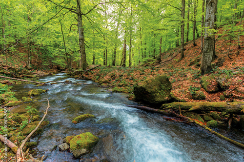 Fototapeta Naklejka Na Ścianę i Meble -  rapid stream among the rocks in the forest. beautiful nature scenery in springtime. green foliage on trees and moss on boulders. trunk above the flow on the stone