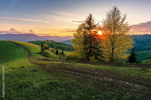 carpathian rural landscape at sunset in springtime. beautiful countryside with tree by the road. dirt pathway along the grassy rolling hills. distant ridge beneath a sky with clouds glowing before dus