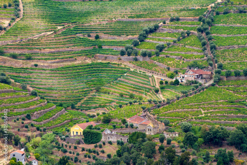 Valle del Douro, Portogallo