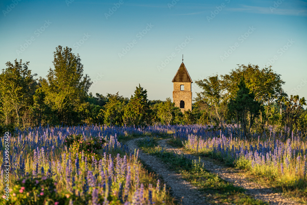 Coastal Swedish Chapel, blue sky and seaside natural environment background. Shore in Pakri Island, Nature Reserve in Estonia, National Park in Europe