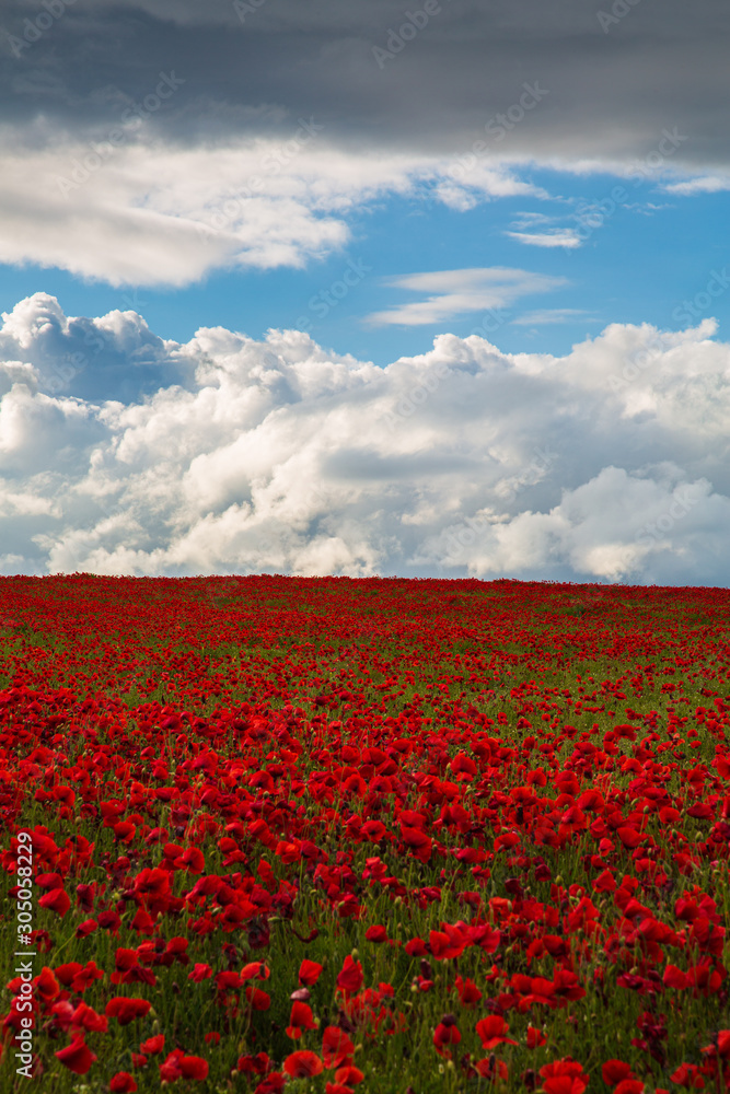 Sea of Poppies