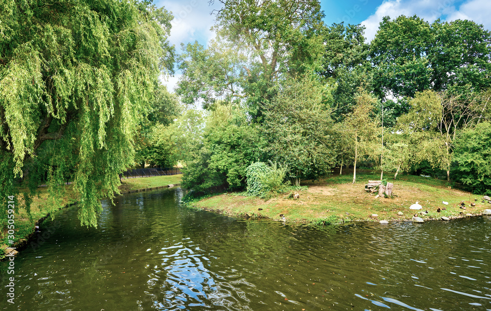 Fototapeta premium Landscape of a London park on a sunny day