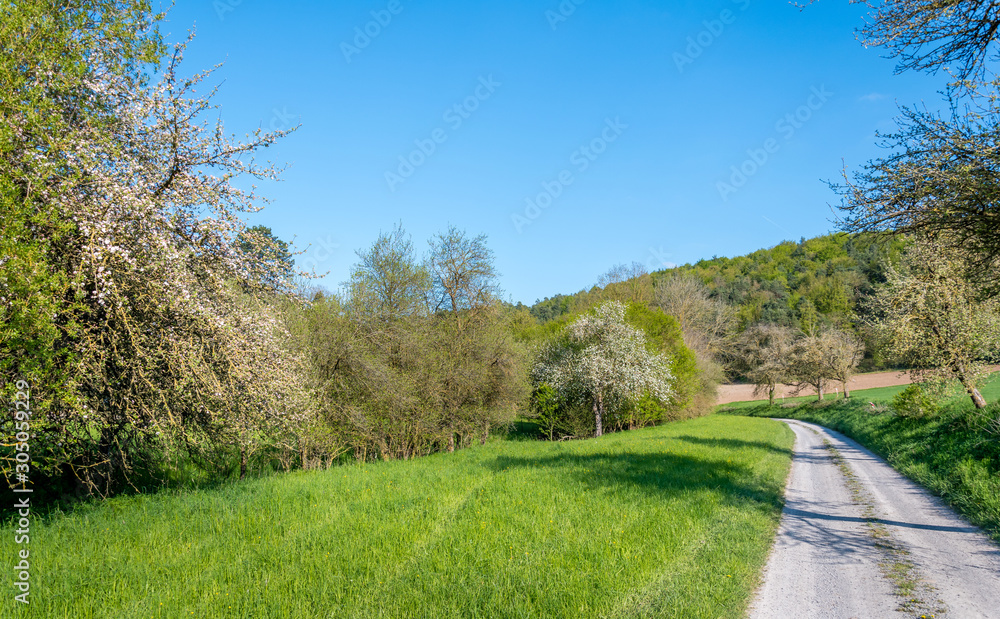 Obraz premium Frühling