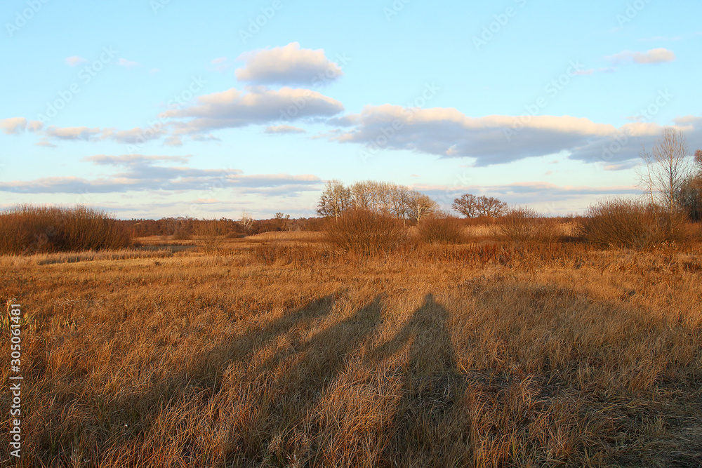 Fototapeta premium Shadows of mom, dad and daughter who hold hands in a huge meadow