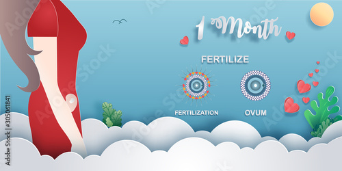 Pregnancy 1 month by month paper cut. Stages of development. Process of human fetal growth in pregnancy and mother and baby infographic Happy Mother's Day beautiful woman and child.Vector illustration