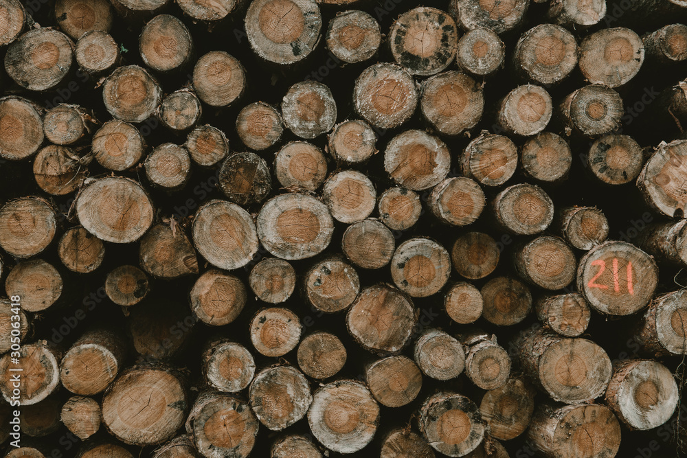 Background of dry chopped firewood logs stacked up on top of each other in a pile Background of dry chopped firewood logs stacked up on top of each other in a pile