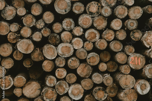 Background of dry chopped firewood logs stacked up on top of each other in a pile