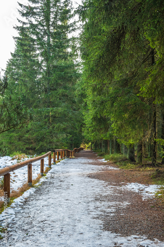 Snowy path from Jezerní slať -  peat bog near Kvilda in National Park of the Czech Bohemian forests, Czech Republic. 