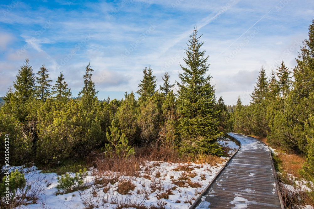 Snowy path in Jezerní slať - peat bog near Kvilda in National Park of the Czech Bohemian forests, Czech Republic. Snowy path in Jezerní slať - peat bog near Kvilda in National Park of the Czech Bohemian forests, Czech Republic.