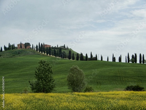 Campagna toscana, vista di Poppi in Casentino strada e campi contivati panorama