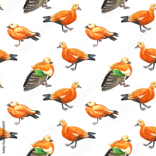Watercolor seamless pattern - sketch of colorful ducks. Original white background.
