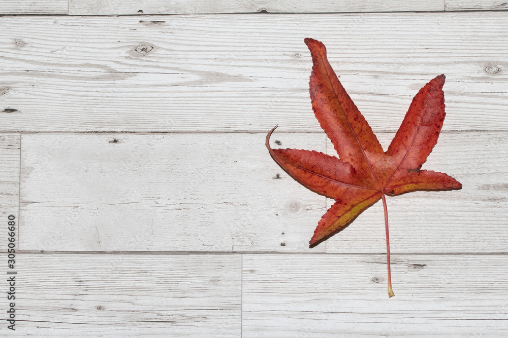 Autumn and Winter Leaves on a Wooden Floor Background Autumn and Winter Leaves on a Wooden Floor Background