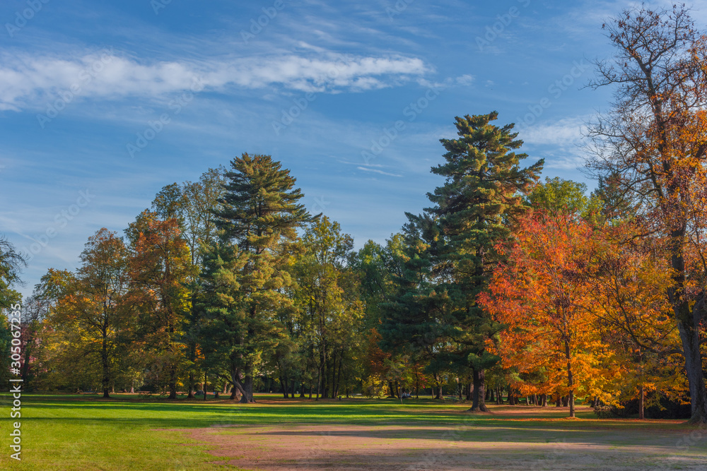 Fototapeta premium Kolorowe i żywe kolory jesieni i błękitne niebo w parku
