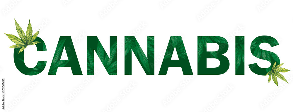 The word cannabis on a white background. Banner with texture and cannabis leaves.