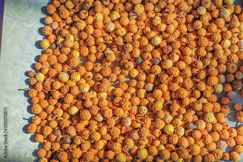Quandong Seeds background. Australia bush food eaten by Australian aborigines. Santalum acuminatum or quandong of the desert is a red fruits in central deserts and southern areas of Australia. photo