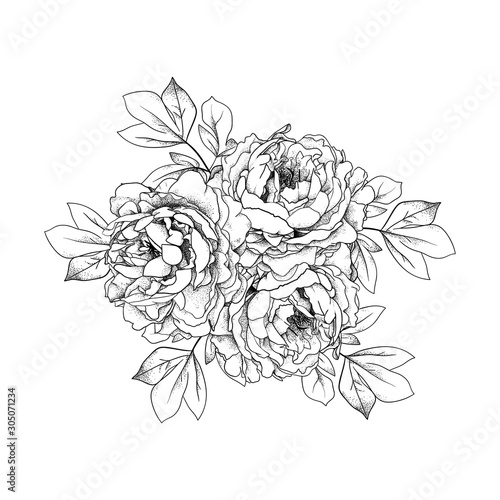 Hand drawn bouquet with peonies and leaves. isolated on white background.