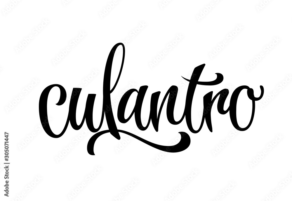Hand drawn spice label - Culantro. Vector lettering design element. Isolated calligraphy script style word for labels, shop design, cafe decore etc Hand drawn spice label - Culantro. Vector lettering design element. Isolated calligraphy script style word for labels, shop design, cafe decore etc