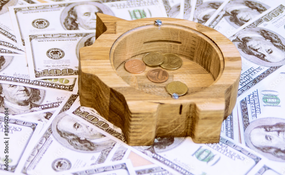 Fototapeta premium piggy Bank piggy lies on dollars