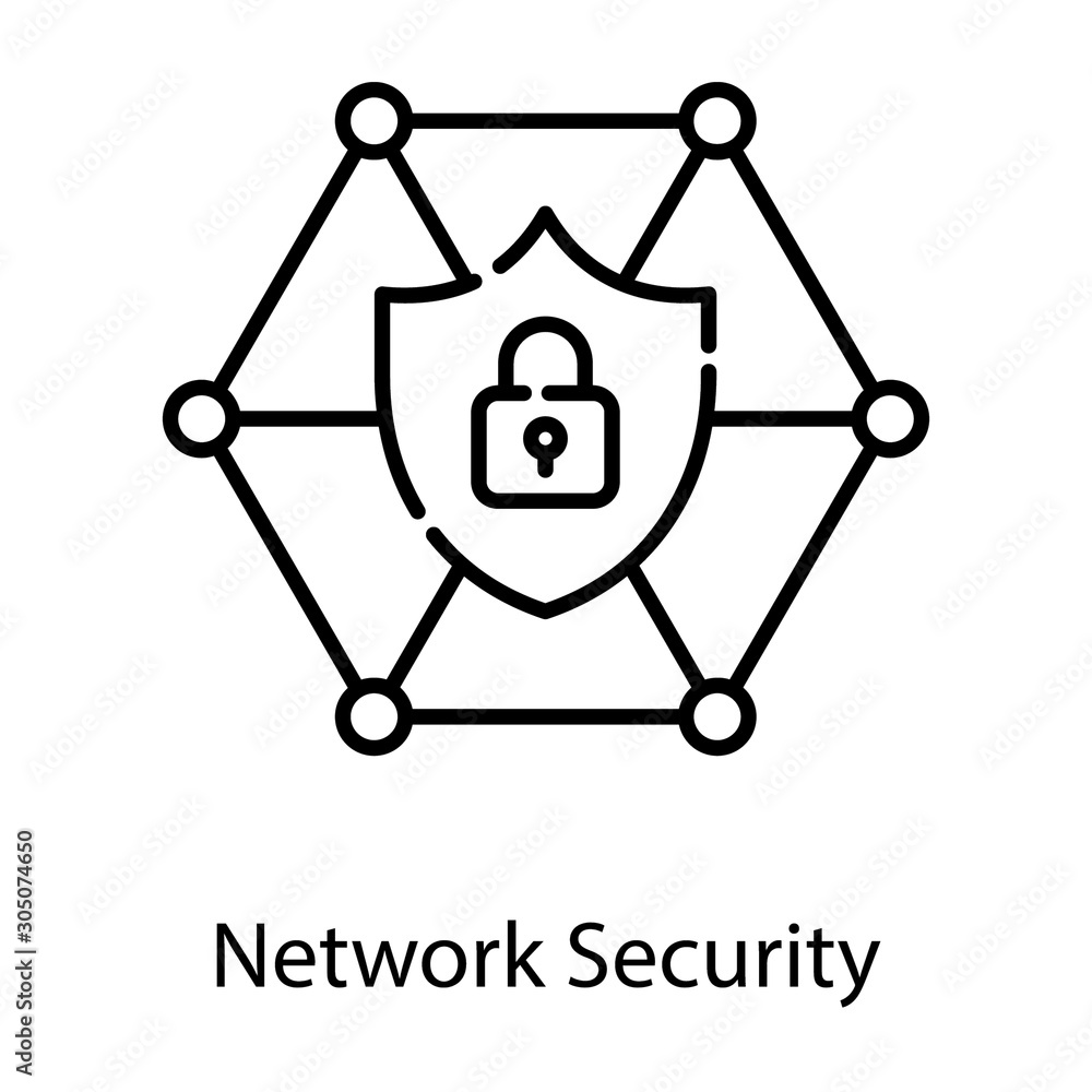  Network Security Vector 