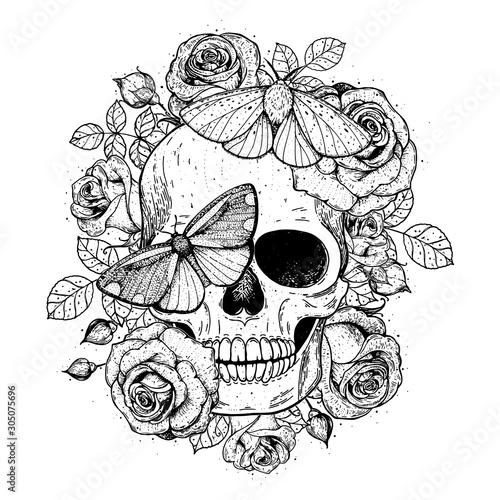 Skull and butterflies hand drawn sketch illustration. Tattoo vintage print. Butterfly, roses and skull vector illustration. Sketch print