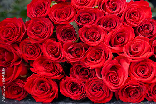 background of fresh red roses.