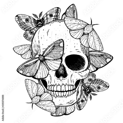 Skull and butterflies hand drawn sketch illustration. Tattoo vintage print. Butterfly and skull vector illustration. Sketch print