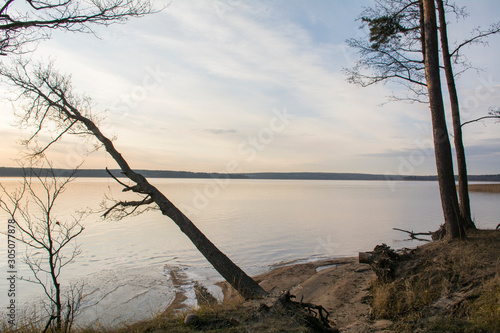 Trees on the bank of a wide river against the cloudy sky