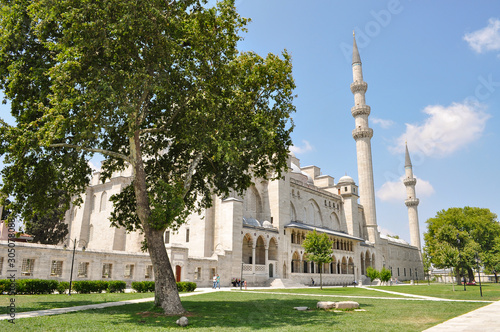 One of Istanbuls Mosque's set in a green park with blue skies and trees waving in the wind.