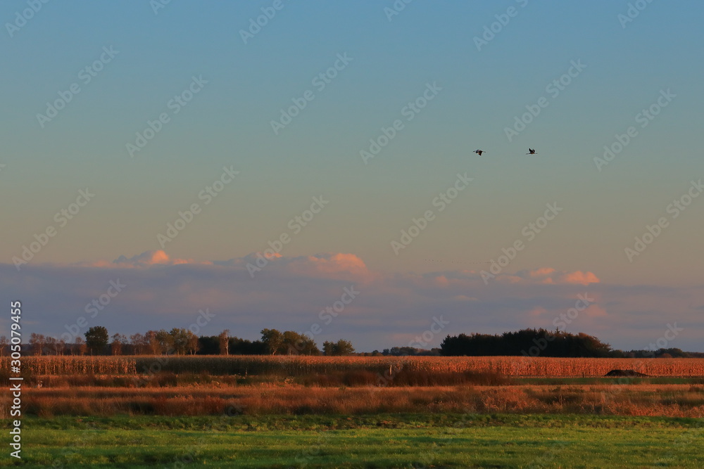 sunset over the field