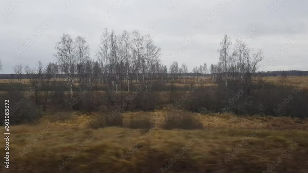 Landscape of the middle part of Russia from a moving high-speed train on a cloudy day Landscape of the middle part of Russia from a moving high-speed train on a cloudy day
