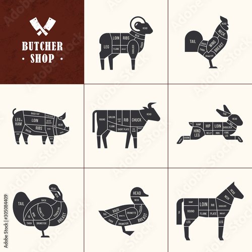 Set a schematic view of animals for the butcher shop