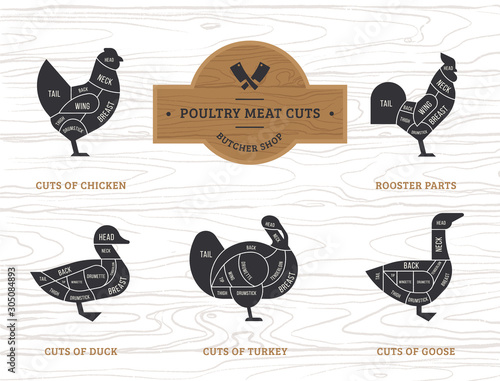 Vector diagram cut carcasses chicken, turkey, goose, duck.