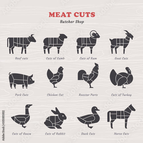 Diagram Guide for Cutting Meat in Vintage Style. Vintage restaurant meat menu template.