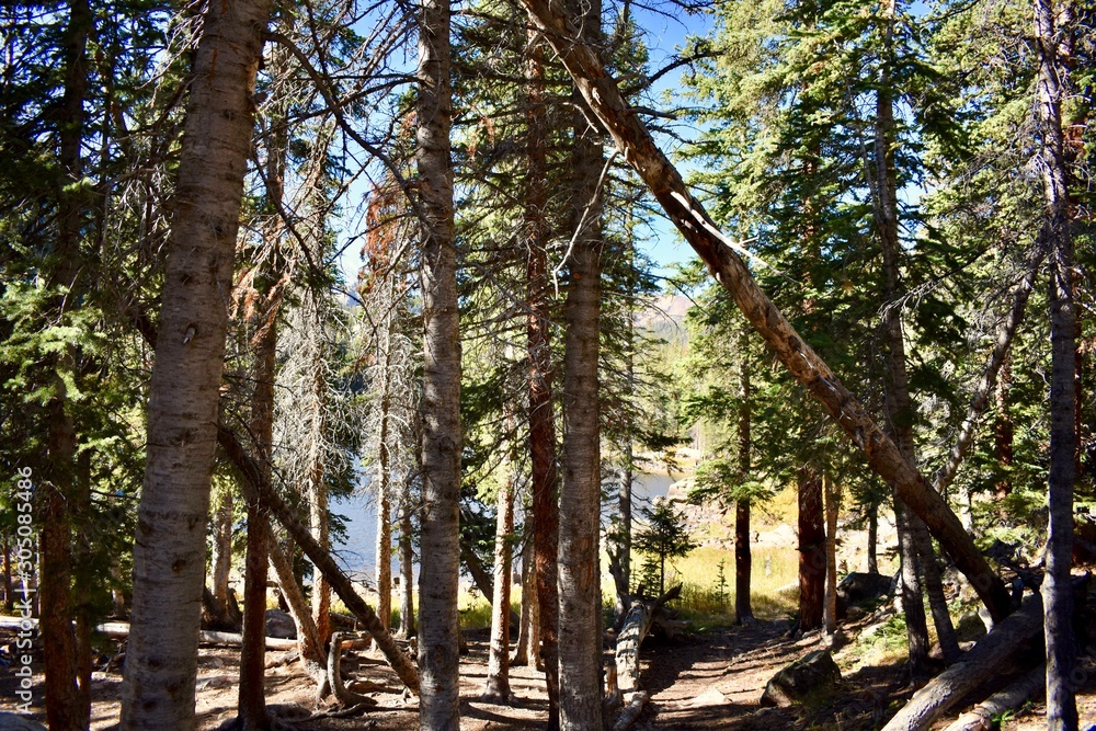 Mirror lake in the Gore Range of the Colorado Rockies. Mirror lake in the Gore Range of the Colorado Rockies.