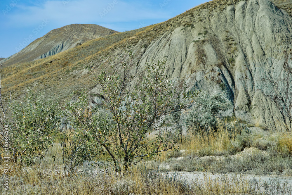 Crimean mountains near the village of Ordzhonikidze. Tree growing on a hill