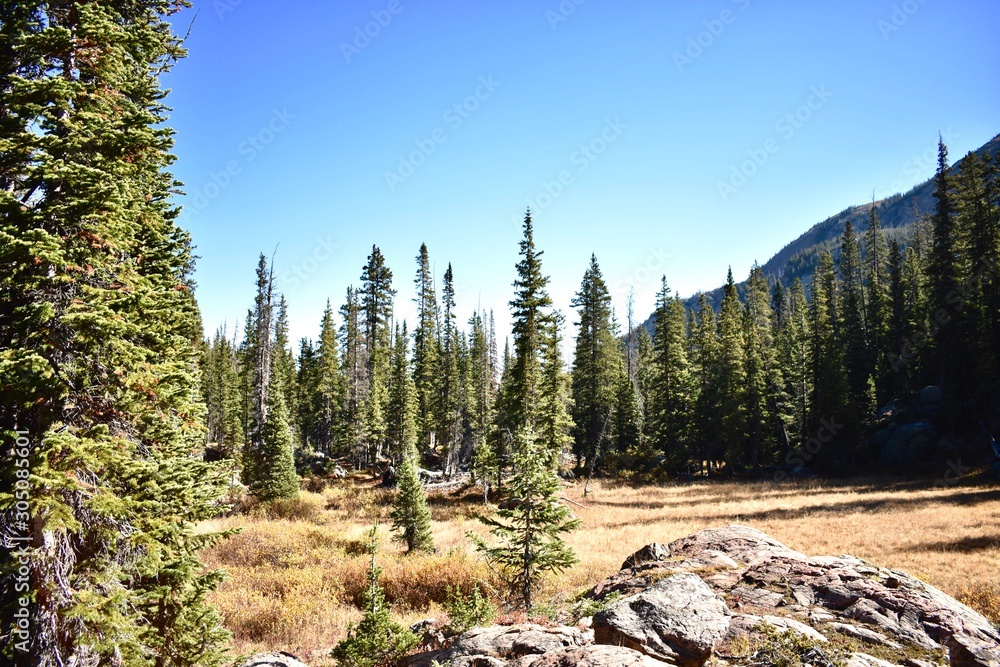 Obraz premium Alpine meadows amongst the rugged peaks of the Gore Range.