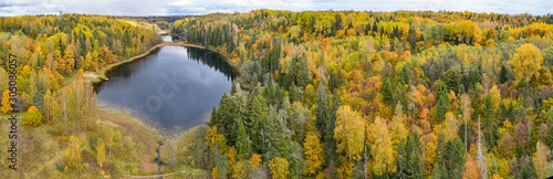 Forest in autumn colors. Colored trees and a meandering blue river. Red, yellow, orange, green deciduous trees in fall. Paganamaa, Estonia, Europe