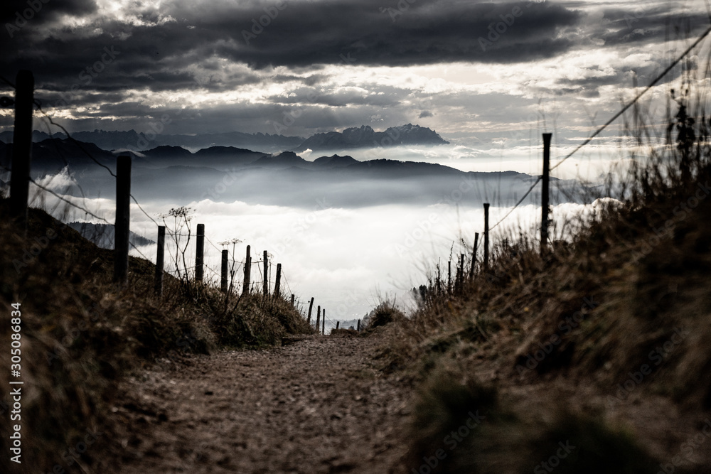 Path into the Clouds in the Allgäu 