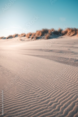 Vertical shot of the desert under the clear blue sky captured in Oostkapelle, Netherlands photo