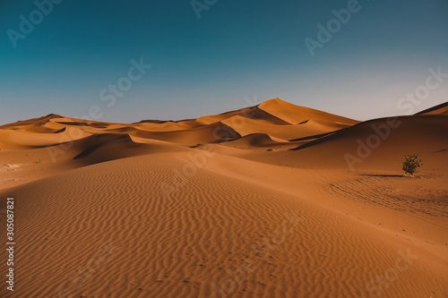 Beautiful view of tranquil desert under the clear sky captured in Morocco