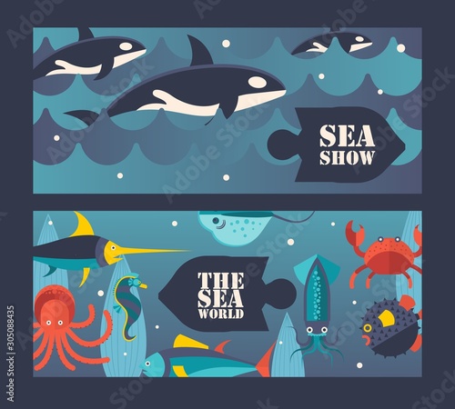 Sea and ocean underwater world, vector illustration. Invitation to sea show with killer whales, aquarium center advertisement. Ocean underwater creatures