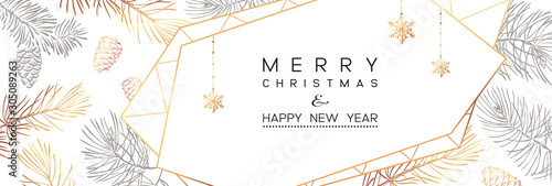 Winter holidays or Christmas background with branches and snowflakes.
