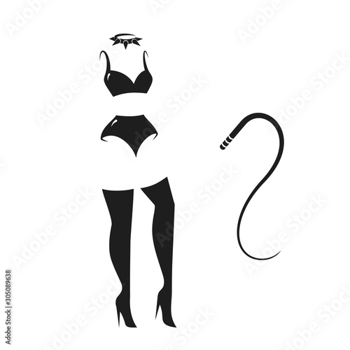 BDSM things set