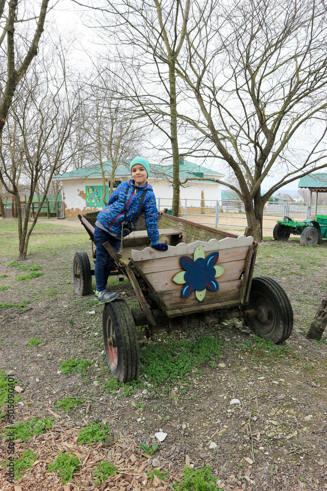 Obraz premium Young tourist boy sitting on a dray in park