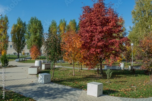 Path, benches and bright trees in  Park in fall.