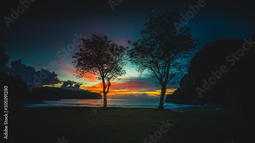 Trees at the shore at sunset, Sumbawa