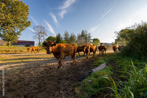 Rzeka Narew, Wieś nad Narwią, Krajobraz wiejski Podlasia