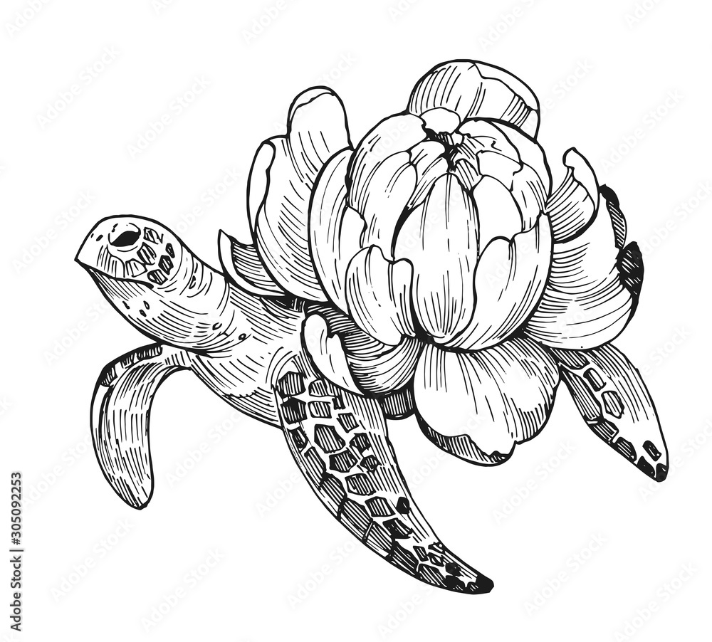 Turtle With Peony Flower Tattoo Sketch
