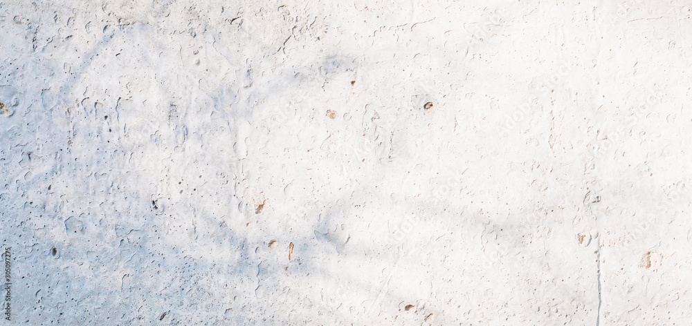 Fototapeta premium Sunlit concrete wall texture with shadows of tree branches