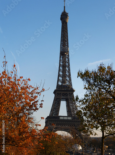 Fototapeta Naklejka Na Ścianę i Meble -  Beautiful view of autumn trees with the Eiffel tower in the foreground in Paris.